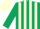 Silk - Dark green body, cream striped, dark green arms, cream cap