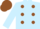 Silk - Light blue, brown dots, brown cap