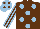 Silk - Brown, light blue spots, striped sleeves, light blue cap, brown spots