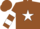 Silk - Brown, white star, hooped sleeves, brown cap