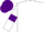 Silk - White, purple armlets, purple cap