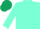 Silk - Aquamarine, dark green cap