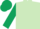 Silk - Light Green, Dark Green Shamrock, sleeves and cap