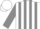 Silk - White, grey stripes on sleeves, white cap