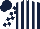 Silk - Dark Blue and White stripes, checked sleeves