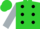 Silk - Lime green, black spots on silver sleeves