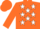 Silk - Orange, white stars on blue circled horsehead, orange cap