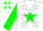 Silk - White, green star in green horseshoe on back, white stars on green sleeves