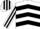 Silk - White, black chevrons, striped sleeves and cap