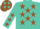 Silk - Turquoise, brown stars