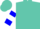 Silk - Turquoise, blue emblem on white leaf, blue hoops on sleeves