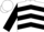 Silk - White, black 'hn' and chevrons, black chevrons and cuffs on sleeves
