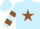 Silk - Light blue, brown star, two brown bars on sleeves