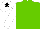 Silk - Light green, white sleeves, white cap, black star