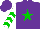 Silk - Purple, green star, white sleeves, green chevrons, purple cap