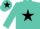 Silk - Turquoise, black star and cap