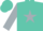 Silk - Turquoise, silver star, turquoise 'boo' on silver sleeves