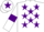 Silk - White, Purple stars, armlets and star on cap