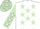 Silk - White, Light Green stars, Light Green sleeves, White stars and stars on cap