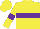 Silk - Yellow body, purple hoop, yellow arms, purple armlets, yellow cap