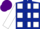 Silk - Light and dark blue vertical halves, white bib, multi coloured squares on sleeves, purple cap