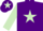 Silk - Purple, light green star & sleeves, light green star on cap