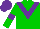Silk - Green body, purple chevron, green arms, purple armlets, purple cap