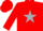 Silk - Red, black 'ds' in silver star