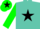 Silk - Turquoise green, black star, turquoise green sleeves and cap, black star and peak