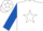 Silk - White, royal blue 'l6', white star stripe on royal blue sleeves