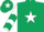 Silk - Dark green body, white star, white arms, dark green chevrons, dark green cap, white star