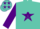 Silk - Turquoise, purple star, turquoise stars on purple sleeves