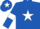 Silk - Royal Blue, White star, armlets and star on cap