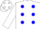 Silk - White, blue dots,blue and white sleeves