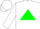 Silk - White, blue  d b r in green triangle on back and front