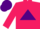 Silk - Rose body, purple triangle, rose arms, purple cap