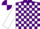 Silk - Purple and white quarter blocks, purple and white quartered sleeves
