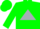 Silk - Hunter green, silver triangle