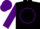 Silk - Black, purple, 'gj' in star circle, black star stripe on purple sleeves, purple cap