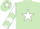Silk - Light green, white star, white sleeves, light green chevrons,light green cap, white star