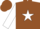 Silk - Brown, white star, white sleeves, white star on brown cap