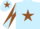 Silk - Light blue, brown star, diabolo on sleeves and star on cap