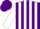 Silk - Purple, gold and white stripes on sleeves, purple cap