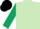 Silk - Light green, black emblems, dark green sleeves, black cap