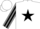 Silk - White, black star, grey and black striped sleeves, white cap