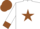 Silk - White, brown star and cuffs on white sleeves, brown cap