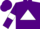 Silk - Purple, white triangle, white armlets on sleeves