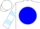 Silk - White, white emblem on blue ball, light blue bars on sleeves,  white cap