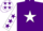 Silk - Purple, white star, white sleeves, purple stars, white cap, purple stars