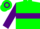 Silk - Green, purple hoop, purple hoop on sleeves